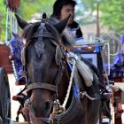 Daily Photo: Bagan Horsecart