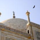 Daily Photo: Dome of the Taj
