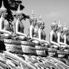 Daily Photo: Row of Buddhas