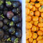 Daily Photo: Mangosteens and Oranges