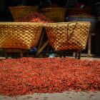 Daily Photo: Drying Mounds of Chili