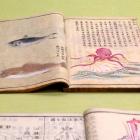 Daily Photo: Octopus Manuscript