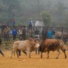 Daily Photo: Bullfight