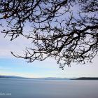 Daily Photo: Lake Taupo