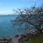 Daily Photo: Tauranga Coast