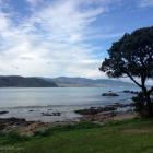 Daily Photo: Lyall Bay, Wellington