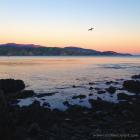 Daily Photo: Wellington Sunset