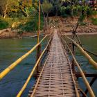 Daily Photo: Bamboo Bridge
