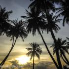Daily Photo: Sunset in Maafushi