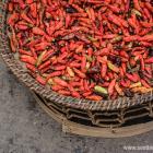 Daily Photo: Drying Chilis