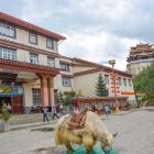 Daily Photo: A Yak in the Square