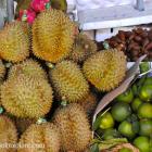 Daily Photo: Durian