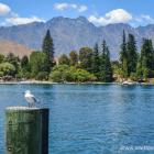 Daily Photo: Classic Queenstown