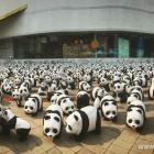 Daily Photo: 1600 Pandas