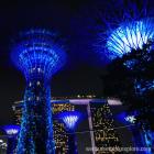Daily Photo: Singapore Supertrees