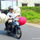 Daily Photo: Lantern Bike