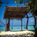 Daily Photo: Swing to Paradise