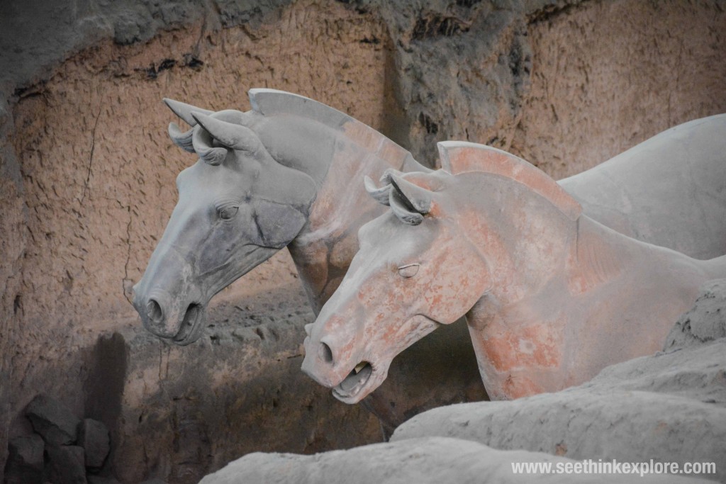 terracotta horses