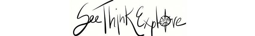 See Think Explore